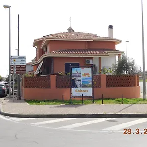 Divino , Càbras Italia
